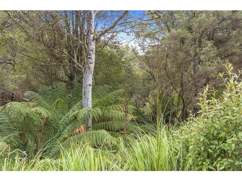 1 Oigles Road, Geeveston TAS 7116