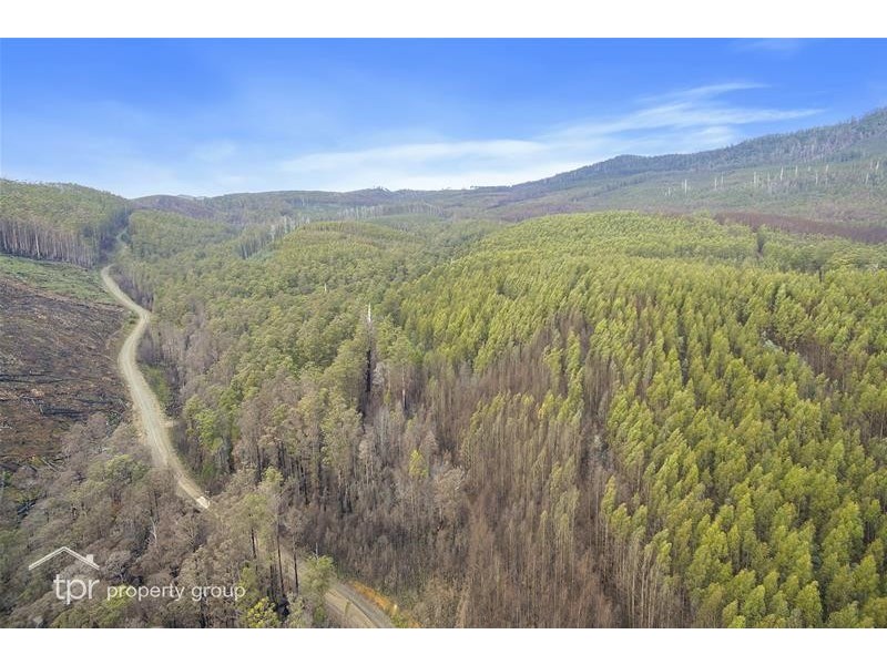 1 Oigles Road, Geeveston TAS 7116