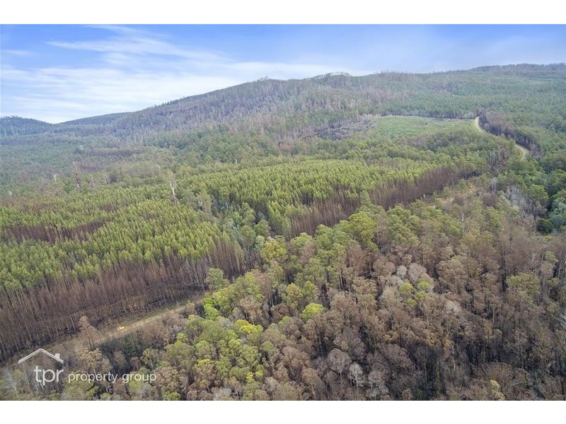 1 Oigles Road, Geeveston TAS 7116