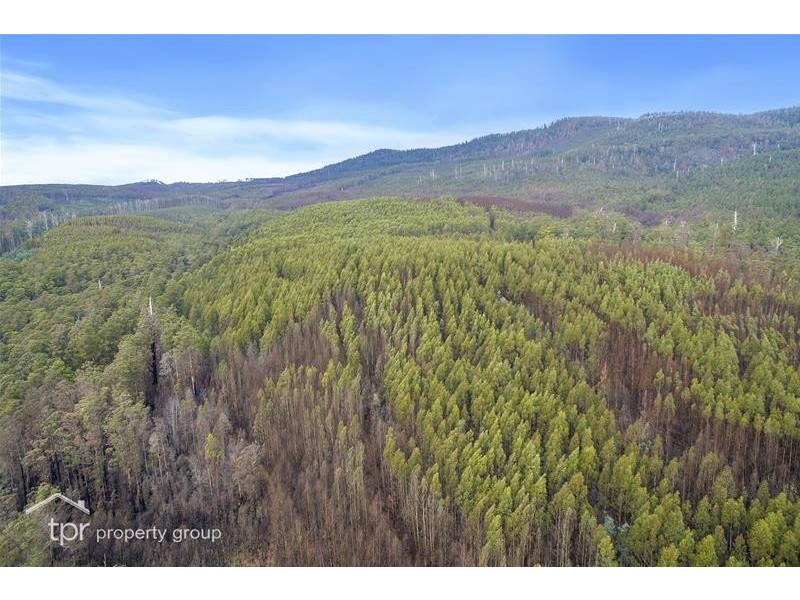 1 Oigles Road, Geeveston TAS 7116