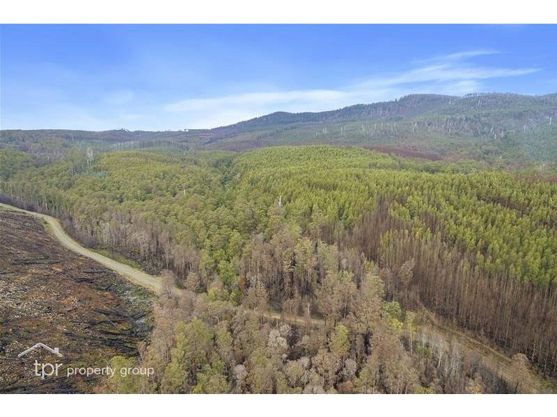 1 Oigles Road, Geeveston TAS 7116