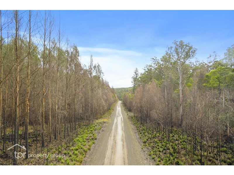 1 Oigles Road, Geeveston TAS 7116