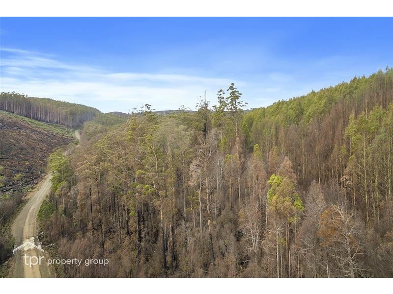 1 Oigles Road, Geeveston TAS 7116