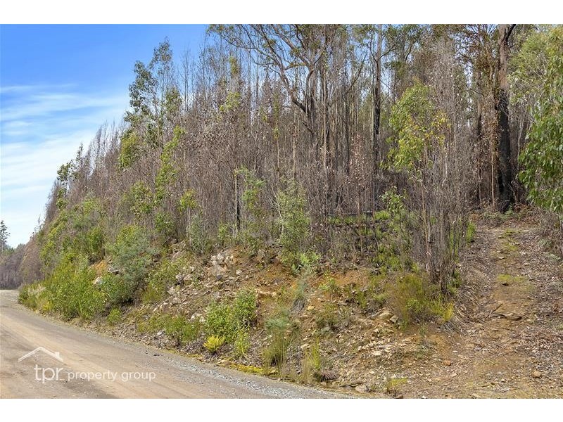 1 Oigles Road, Geeveston TAS 7116