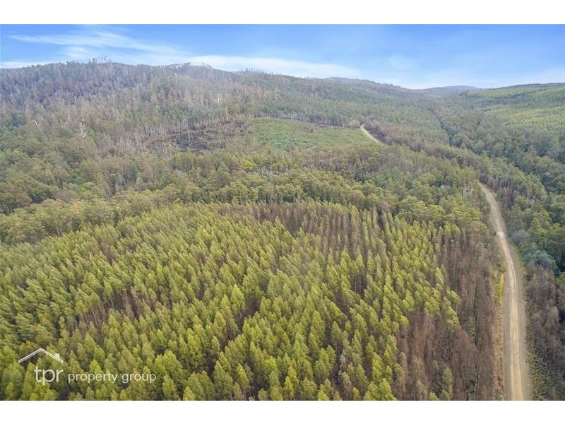 1 Oigles Road, Geeveston TAS 7116