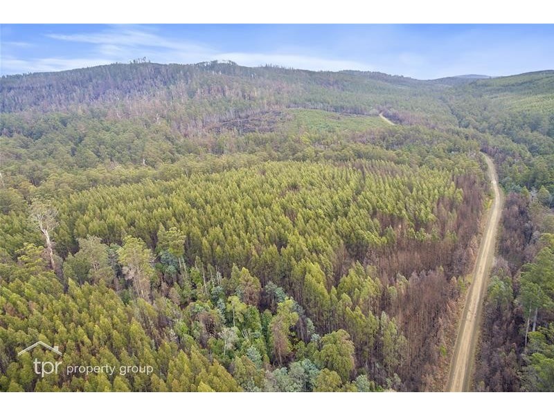 1 Oigles Road, Geeveston TAS 7116