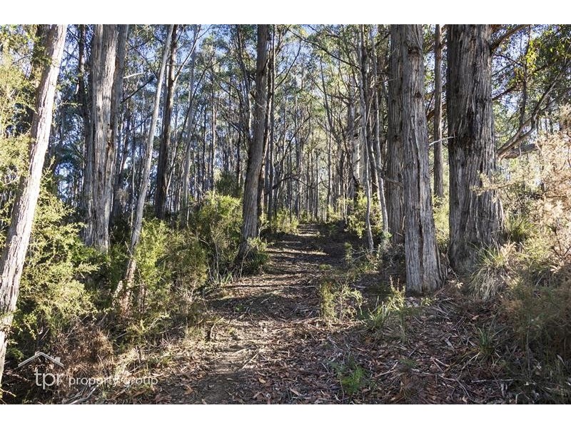 39 Crooke Street, Port Huon TAS 7116