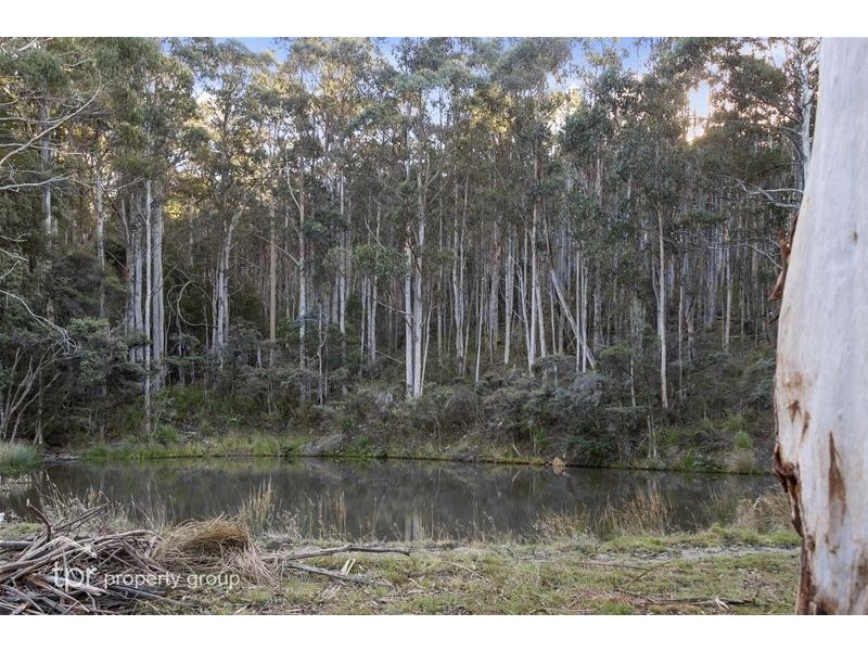 39 Crooke Street, Port Huon TAS 7116