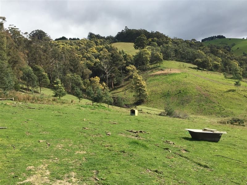 Lot 2 Golden Valley Road, Cygnet TAS 7112