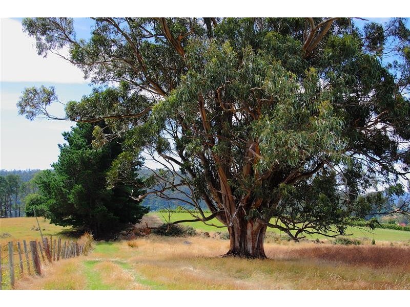 190 Braeside Road, Franklin TAS 7113