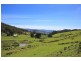 LOT 4 Wattle Grove Road, Wattle Grove TAS 7109