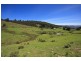 LOT 4 Wattle Grove Road, Wattle Grove TAS 7109