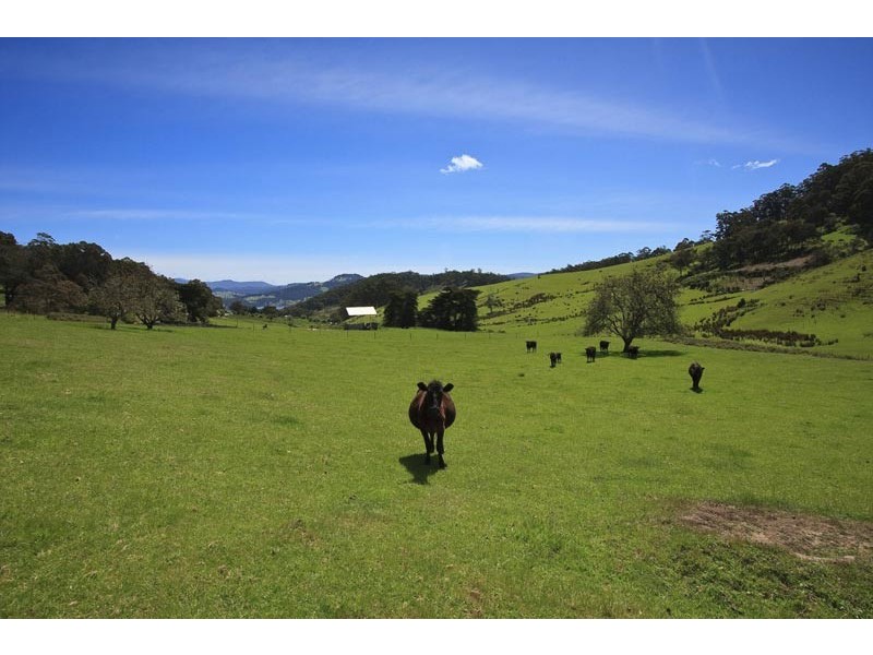 LOT 4 Wattle Grove Road, Wattle Grove TAS 7109