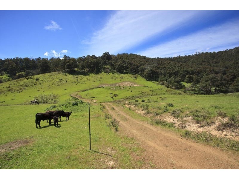 LOT 4 Wattle Grove Road, Wattle Grove TAS 7109