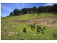LOT 4 Wattle Grove Road, Wattle Grove TAS 7109