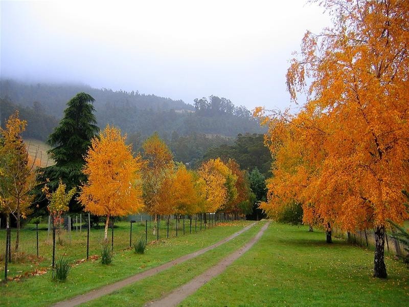 1240 Pelverata Road, Pelverata TAS 7150