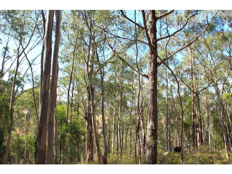 1/350 Lymington Road, Lymington TAS 7109