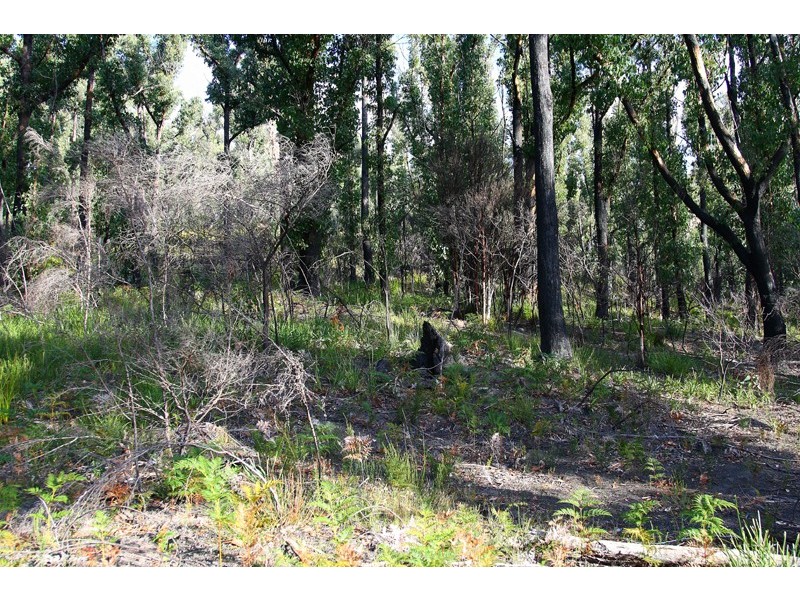 LOT 2 Eva Gully Road, Brooks Bay TAS 7116