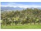 Lot/1 Alburys Road, Huonville TAS 7109