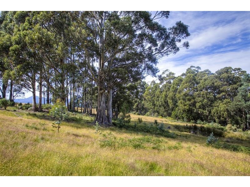 296 Cloverside Road, Lucaston TAS 7109