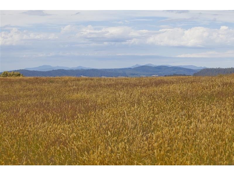 296 Cloverside Road, Lucaston TAS 7109