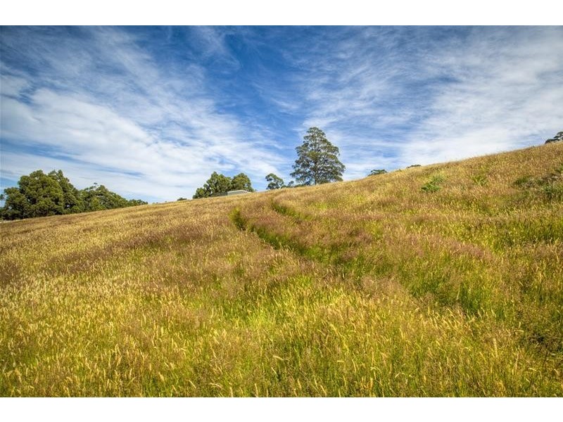 296 Cloverside Road, Lucaston TAS 7109