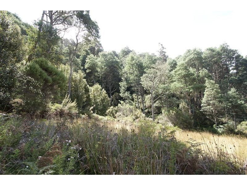 Lot 1 Crabtree Road, Crabtree TAS 7109