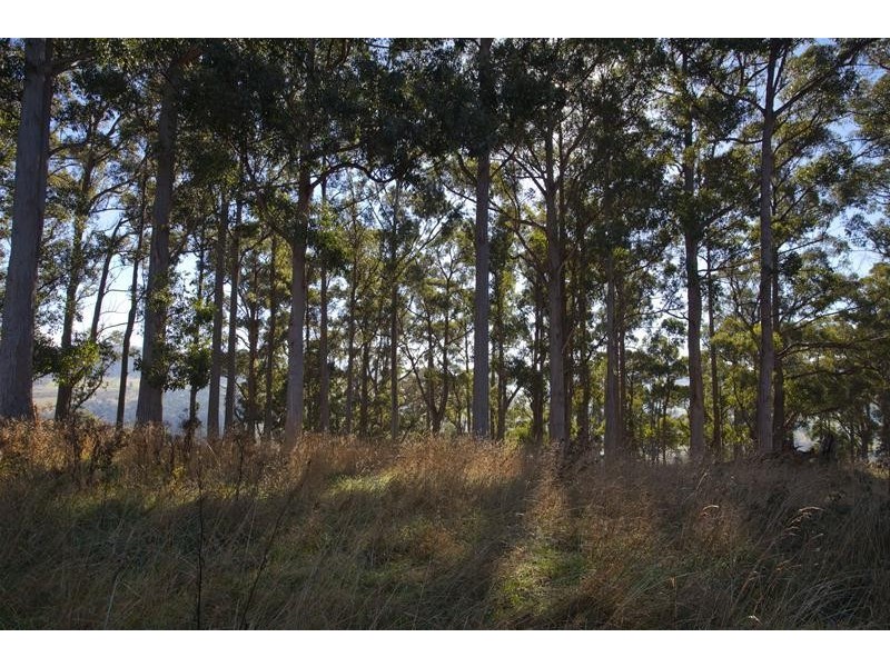 Lot 2 Judds Hill Road, Geeveston TAS 7116