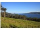 LOT 2 Cygnet Coast Road, Petcheys Bay TAS 7109