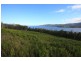 LOT 2 Cygnet Coast Road, Petcheys Bay TAS 7109