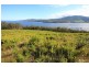 LOT 2 Cygnet Coast Road, Petcheys Bay TAS 7109
