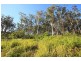 LOT 2 Cygnet Coast Road, Petcheys Bay TAS 7109