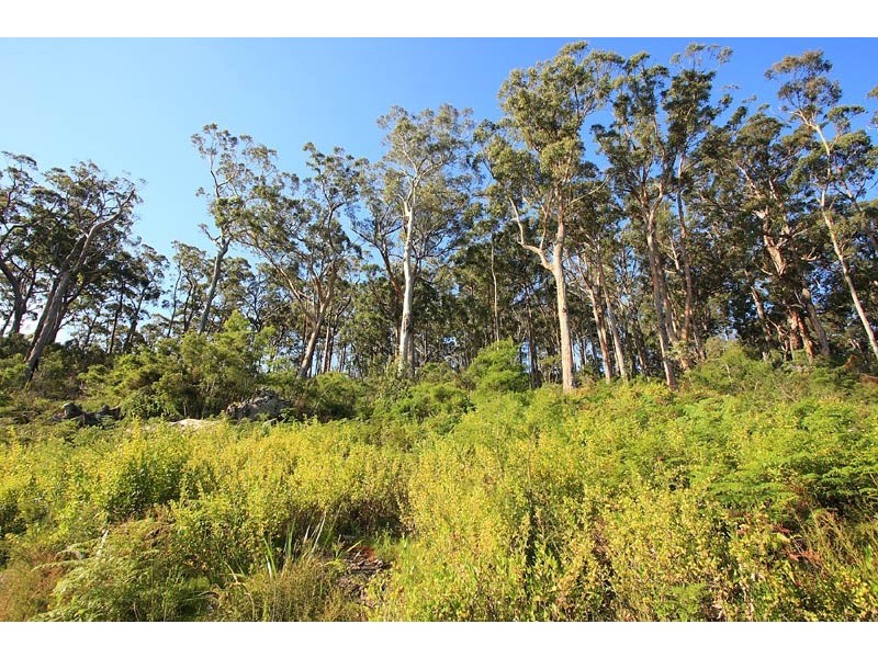 LOT 2 Cygnet Coast Road, Petcheys Bay TAS 7109