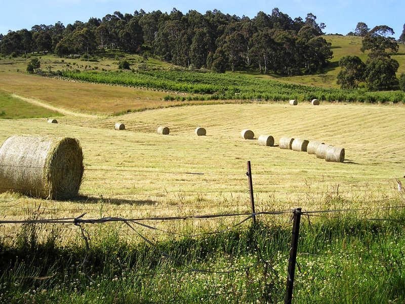 3000 Huon Highway, Franklin TAS 7113