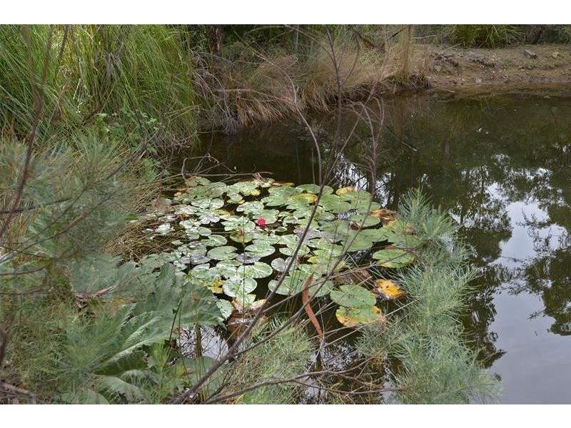 52 Glenbervie Road, Dover TAS 7117