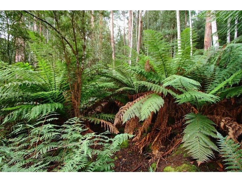 151 Lloyds Road, Franklin TAS 7113