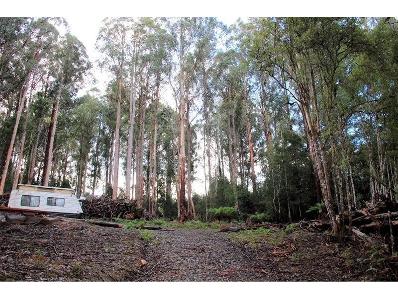 151 Lloyds Road, Franklin TAS 7113