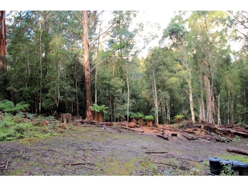 151 Lloyds Road, Franklin TAS 7113