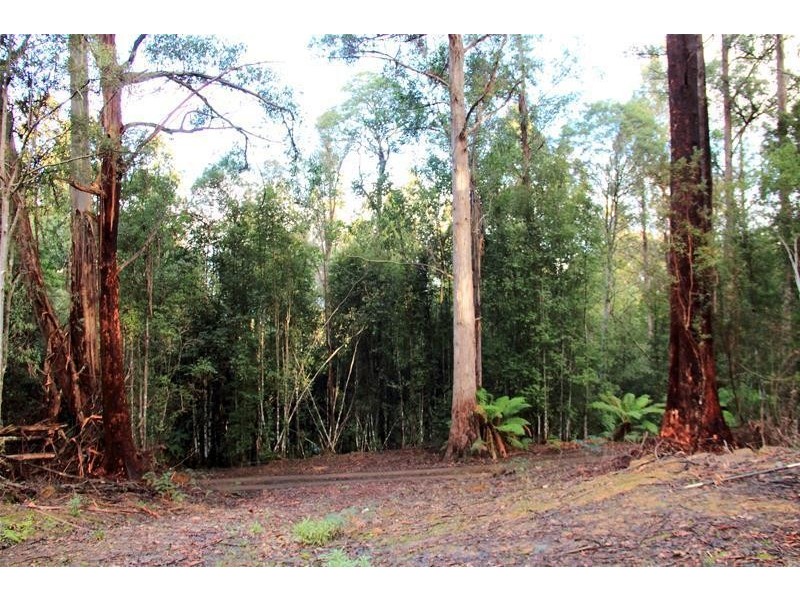 151 Lloyds Road, Franklin TAS 7113