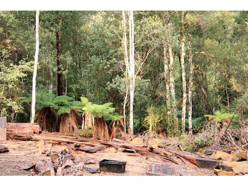 151 Lloyds Road, Franklin TAS 7113