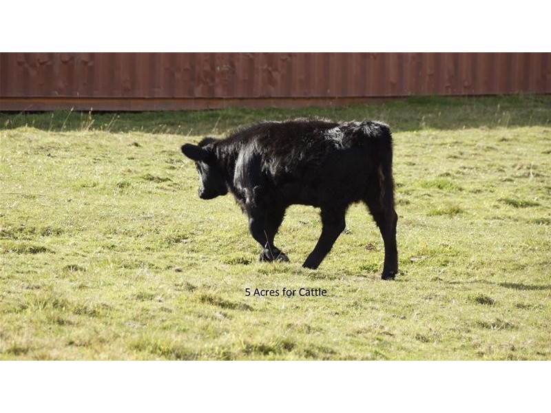 2/7128 Huon Highway, Dover TAS 7117