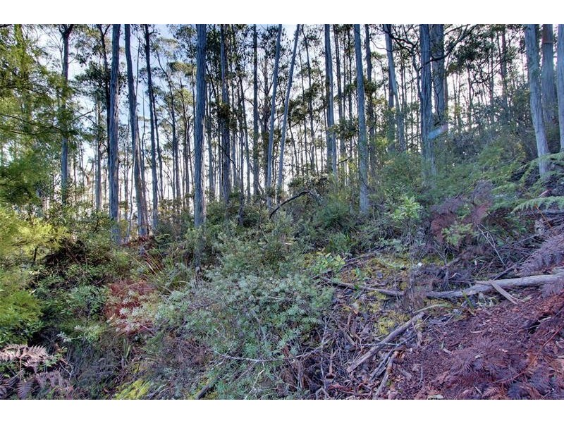 3 Garths Road, Cradoc TAS 7109