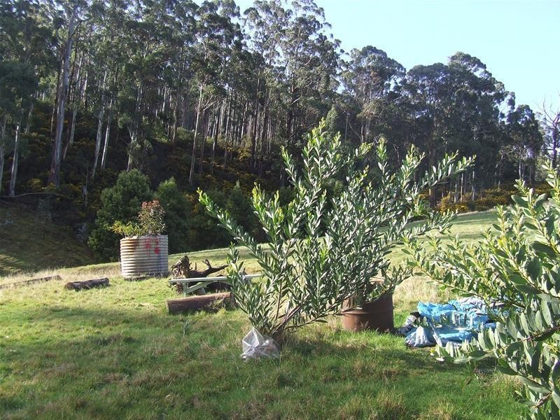 720 Cygnet Coast Road, Petcheys Bay TAS 7109