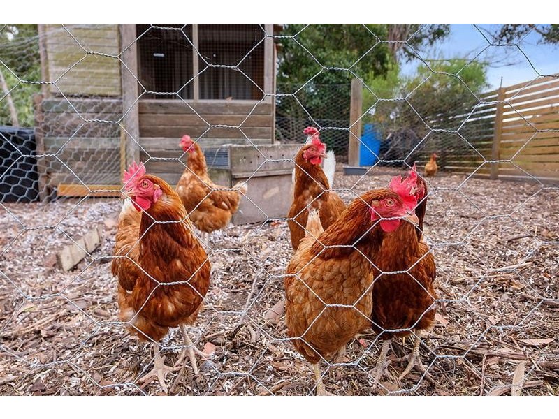 1 Crooked Tree Point, Nicholls Rivulet TAS 7112