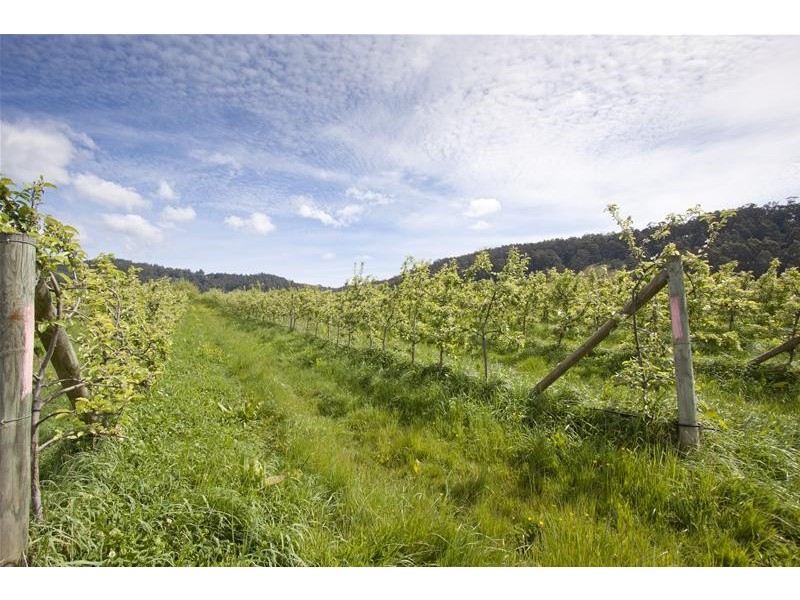 4060 Huon Highway, Castle Forbes Bay TAS 7116