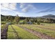 169 Watsons Road, Glen Huon TAS 7109