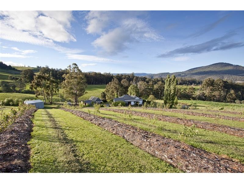 169 Watsons Road, Glen Huon TAS 7109