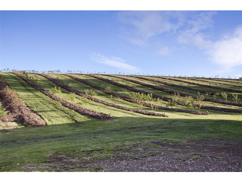 169 Watsons Road, Glen Huon TAS 7109