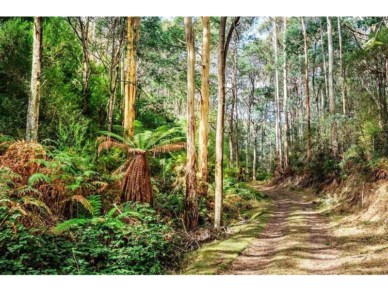 68 Clarks Road, Cradoc TAS 7109