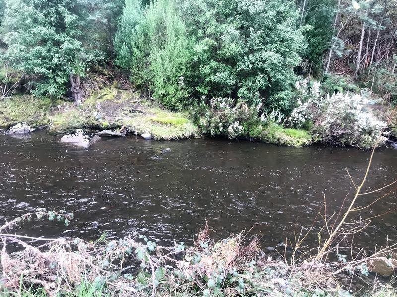 10 Arve Road, Geeveston TAS 7116